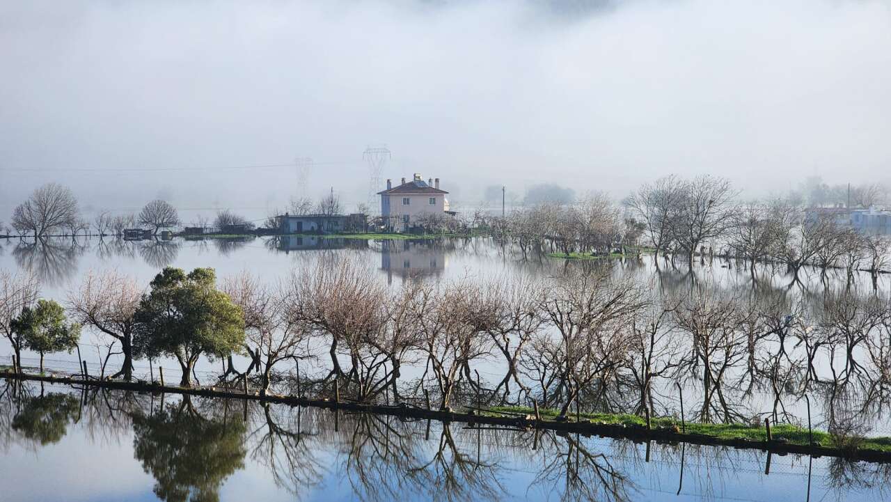 Menteşe’de Sağanak Sonrası Tarlalar Göle Döndü, Doğa Kartpostallık Görüntüler Sundu 2